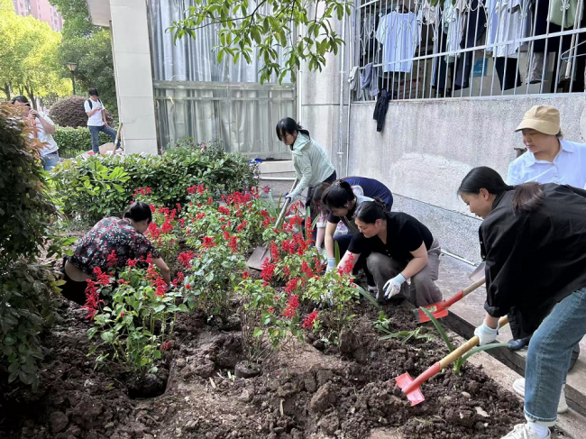 挖呀挖,种呀种 宿管阿姨带着学生在楼门口整了个“大活儿”
