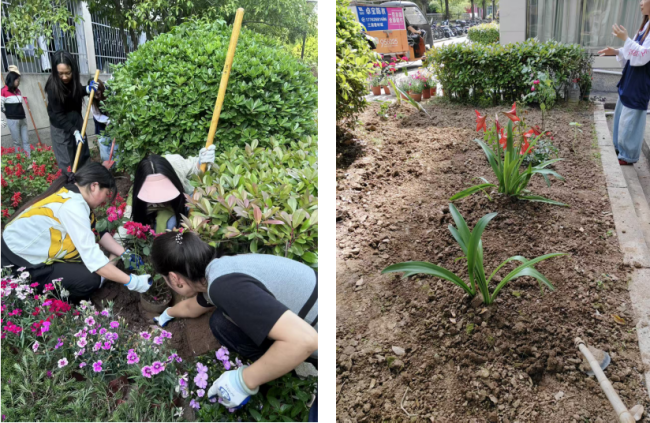 挖呀挖,种呀种 宿管阿姨带着学生在楼门口整了个“大活儿”